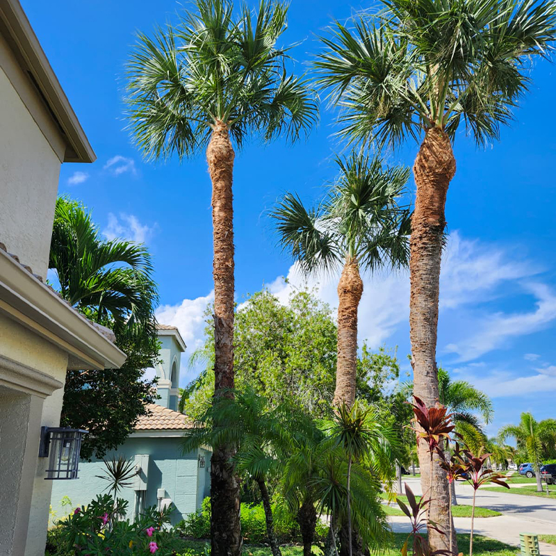 Image for Free Estimate Request for Ian Landscaping