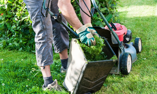 Lawn Maintenance