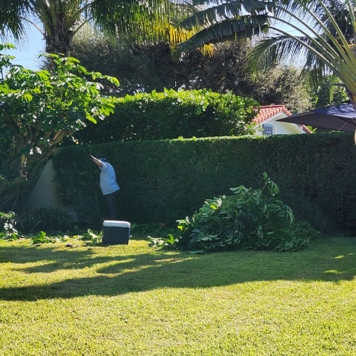 Image of Paver installation